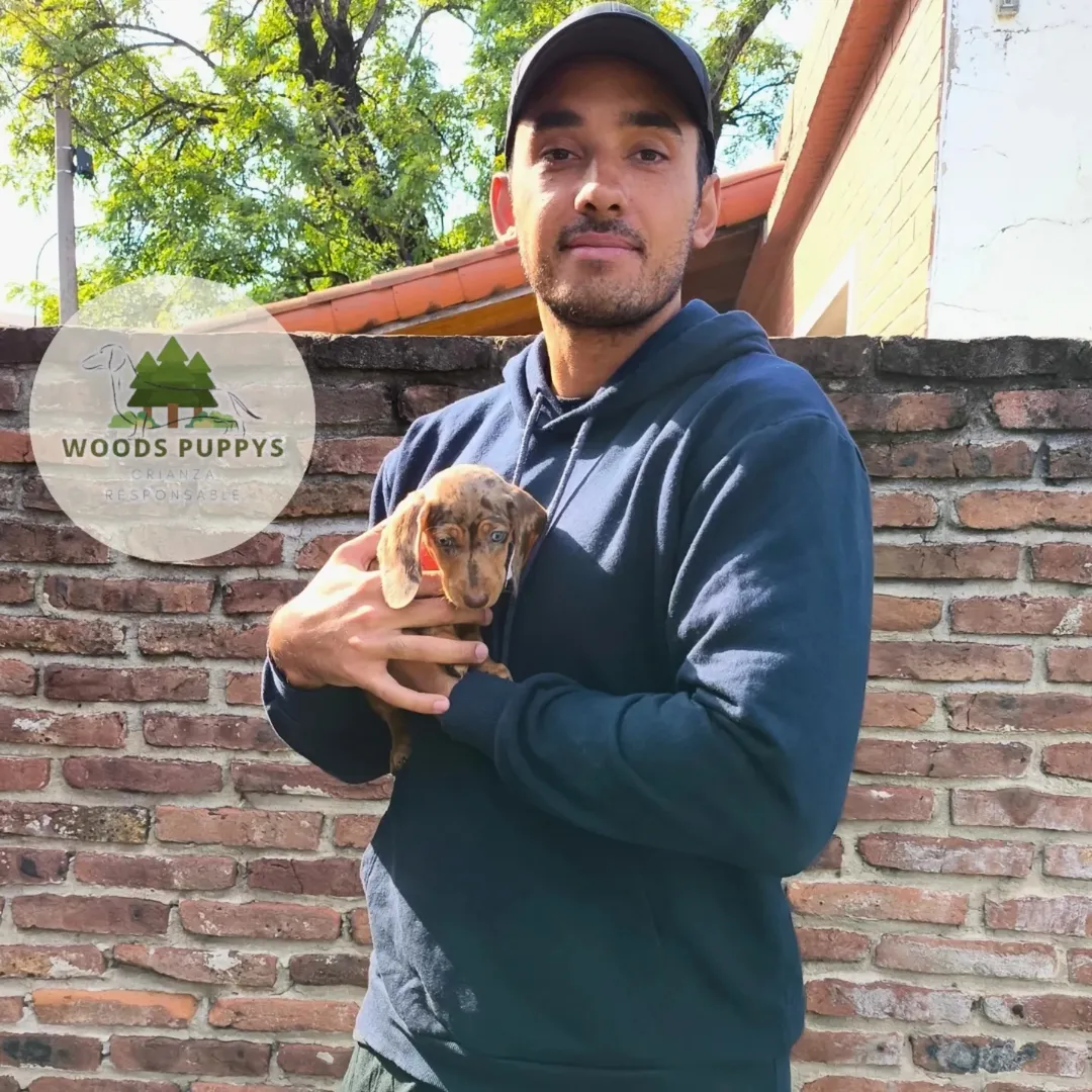 Cachorro con su nueva familia