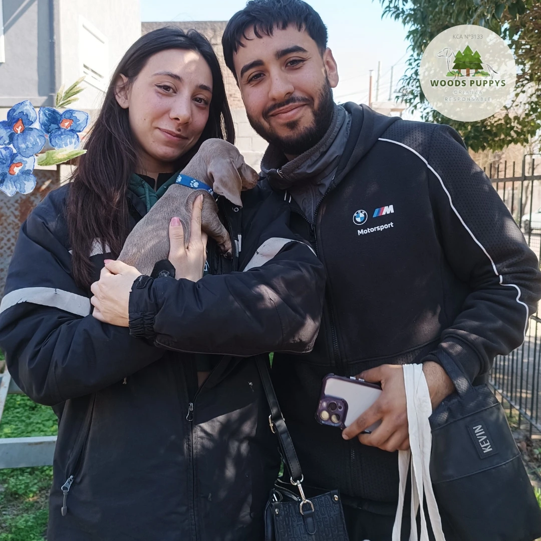 Cachorro con su nueva familia