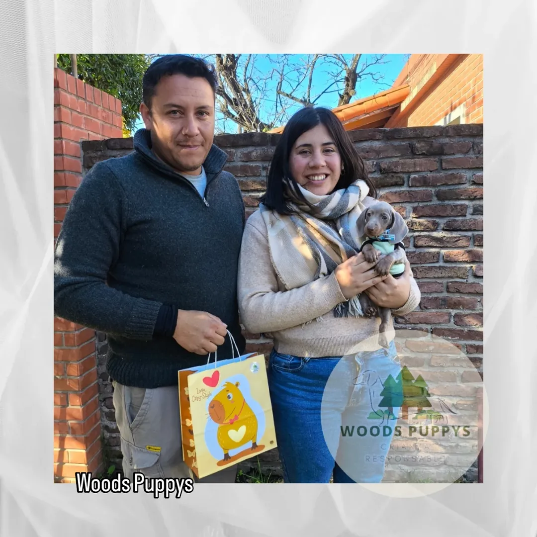 Cachorro con su nueva familia